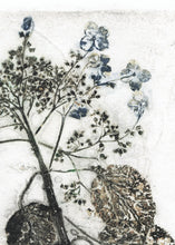 Indlæs billede til gallerivisning Original botanisk kunsttryk af hortensia i sorte og blå toner. 29,7x42 cm.
